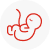 fetus icon